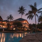 Palm Trees at Night